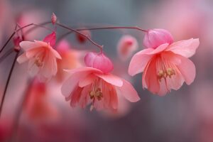 Delicate soft pink blossoms glowing gently in a dreamy atmosphere.